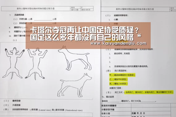 卡塔尔夺冠再让中国足协受质疑?国足这么多年都没有自己的风格“开元登录”(图1) 开元娱乐