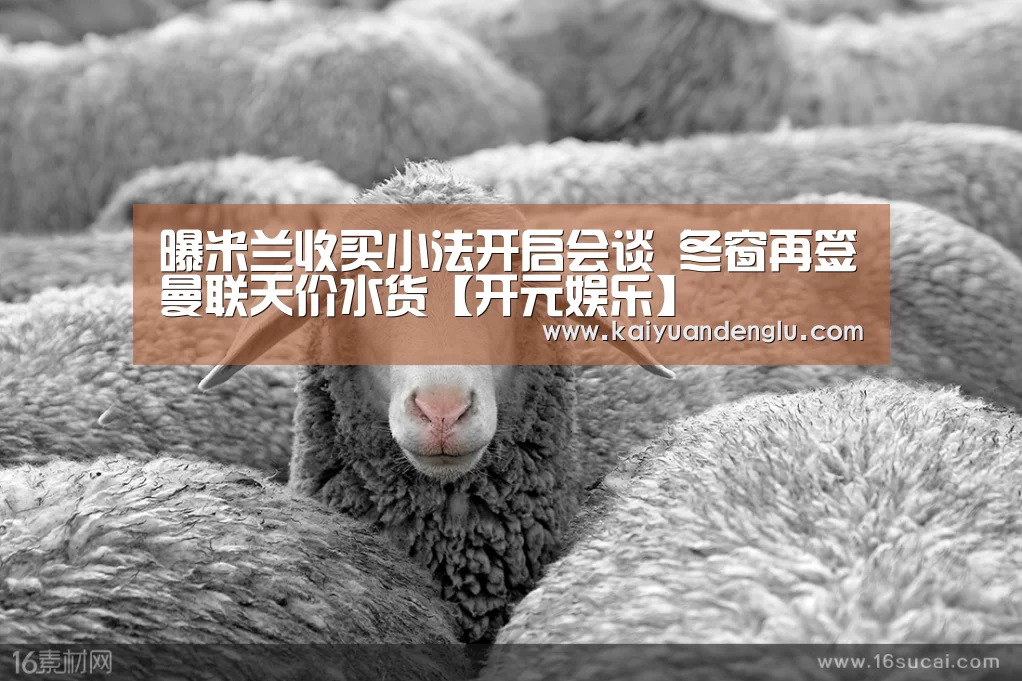 曝米兰收买小法开启会谈 冬窗再签曼联天价水货【开元娱乐】(图1) 开元娱乐